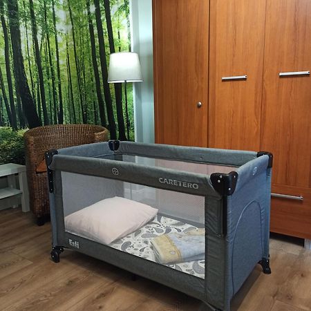 Apartament Rozeta Centrum 6Os 莱格尼察 外观 照片