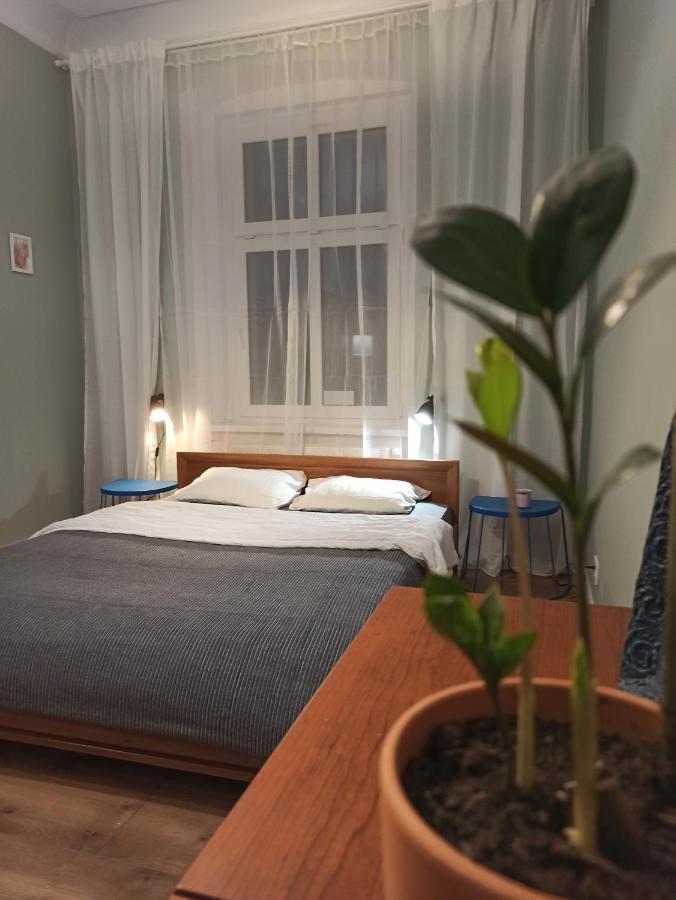 Apartament Rozeta Centrum 6Os 莱格尼察 外观 照片