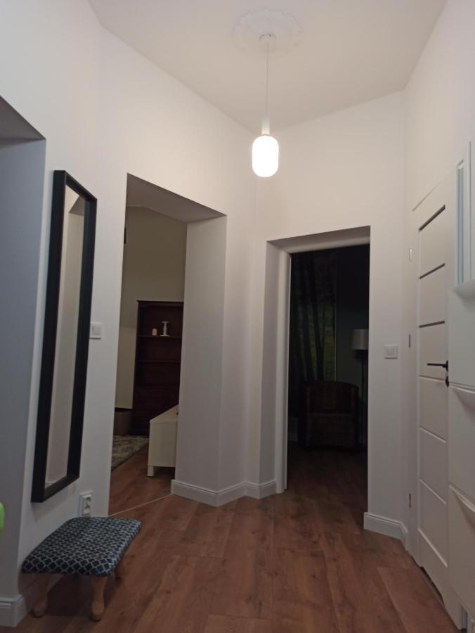 Apartament Rozeta Centrum 6Os 莱格尼察 外观 照片