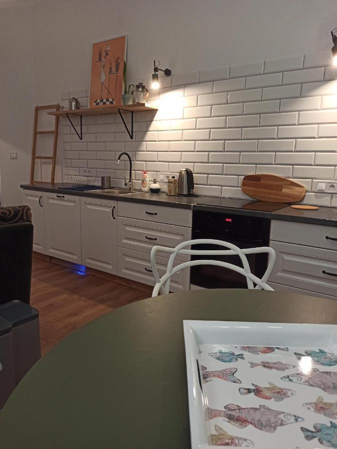Apartament Rozeta Centrum 6Os 莱格尼察 外观 照片