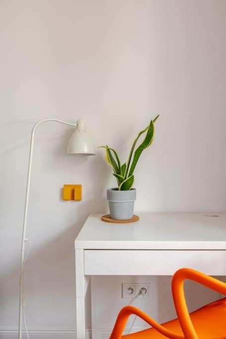 Apartament Rozeta Centrum 6Os 莱格尼察 外观 照片
